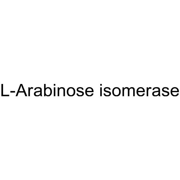 L-Arabinose isomerase 9023-80-7